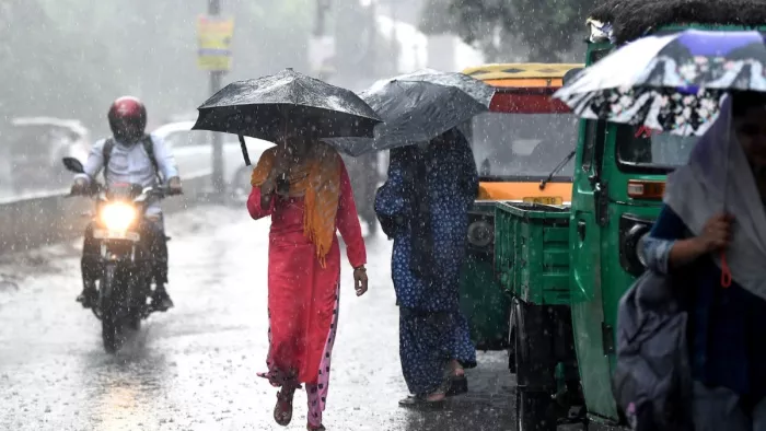 CG Weather: छत्तीसगढ़ में मौसम ने बदली करवट: अगले 3 दिन बारिश, आंधी और बिजली गिरने की चेतावनी