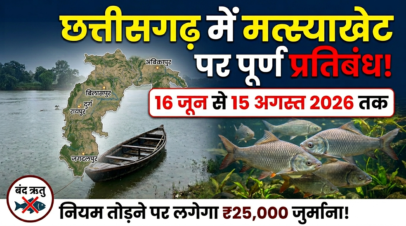 CG Fish Catching Ban सावधान! छत्तीसगढ़ में मछली पकड़ी तो लगेगा 25 हजार का जुर्माना, सरकार ने लागू किया ‘क्लोज सीजन’