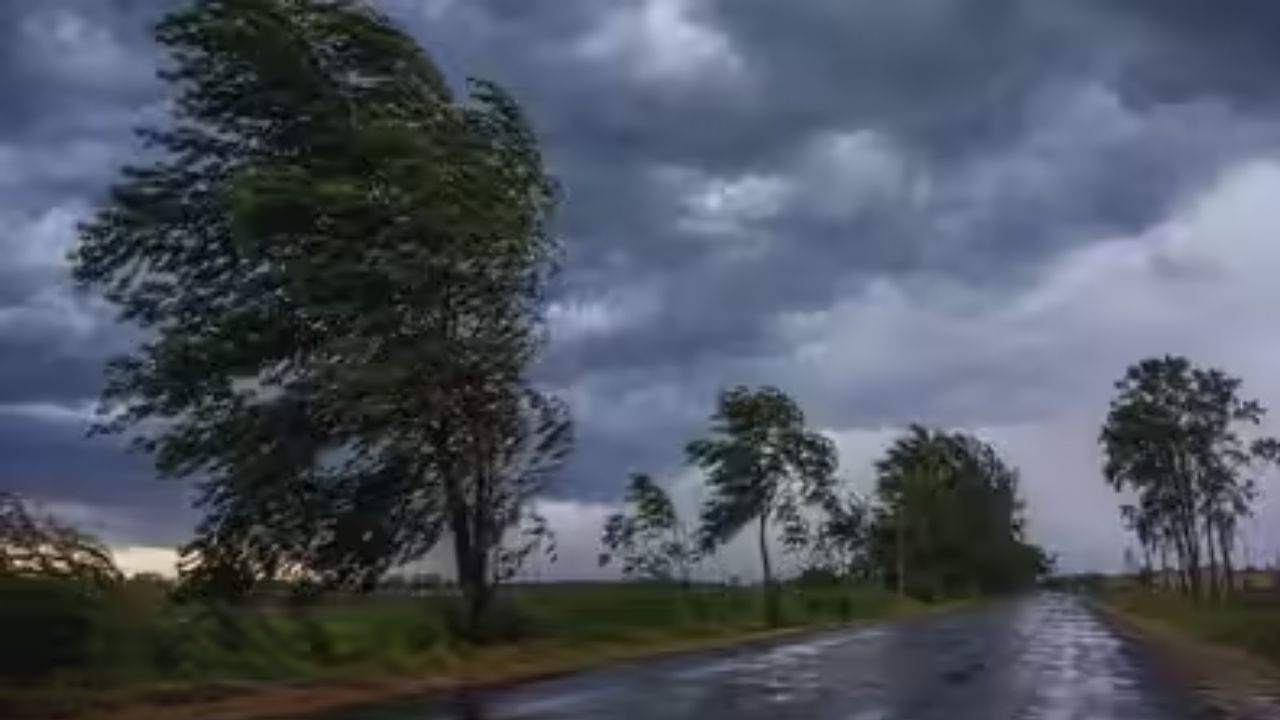 Weather