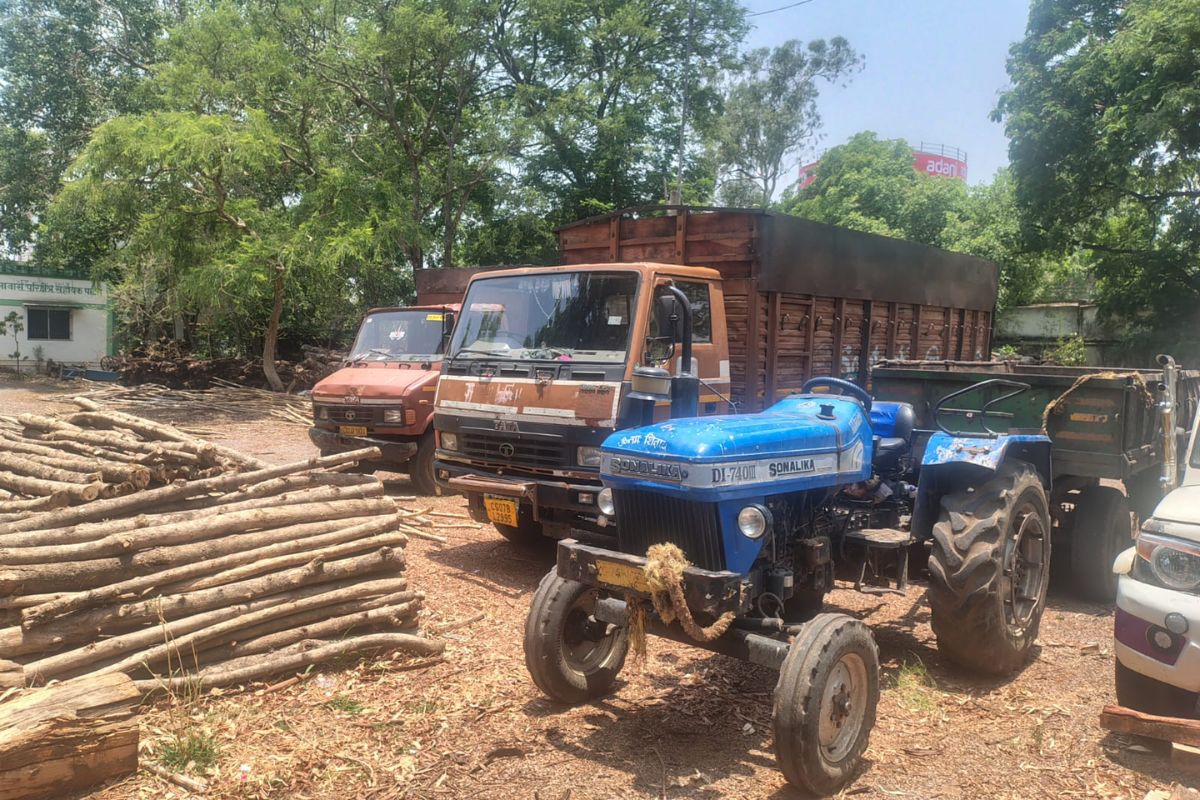 CG Patan News : अवैध लकड़ी परिवहन पर वन विभाग की बड़ी कार्रवाई, वाहन जब्त