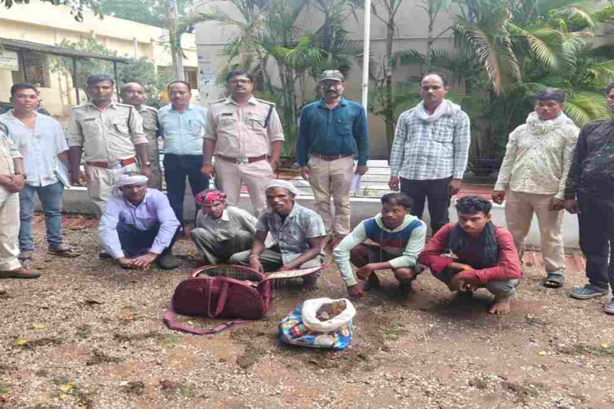 MP News: मंडला से लाई गई बाघ की हड्डियां! बालाघाट में वन्यजीव तस्करों के खिलाफ बड़ी कार्रवाई