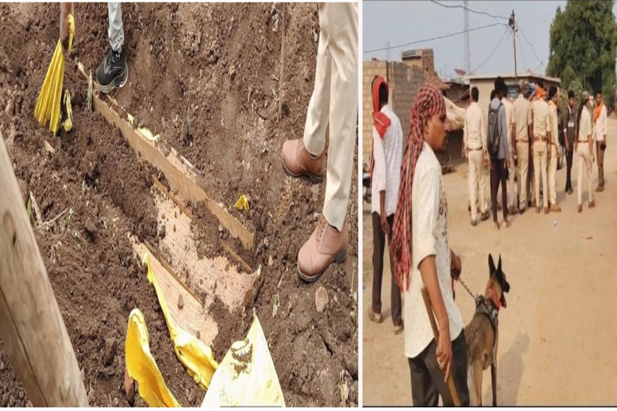 Gariaband News: वन माफियाओं पर शिकंजा: सागौन तस्करी और वन्यजीव शिकार सामग्री के साथ कई आरोपी बेनकाब