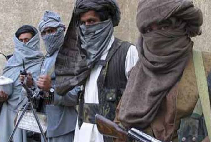Terror Network Busted: Terror Network Busted: