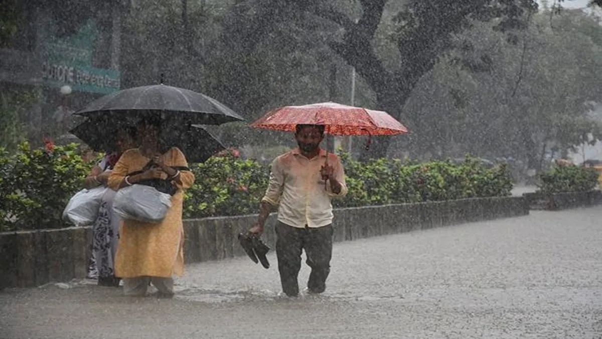 Heavy Rain Alert