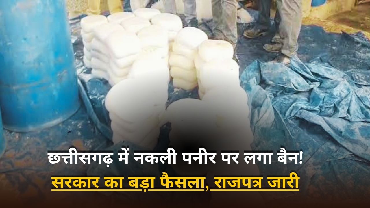 CG Dairy Analog Ban: छत्तीसगढ़ सरकार का बड़ा एक्शन! राज्य में ‘नकली पनीर’ और ‘डेयरी एनालॉग’ पर लगा बैन