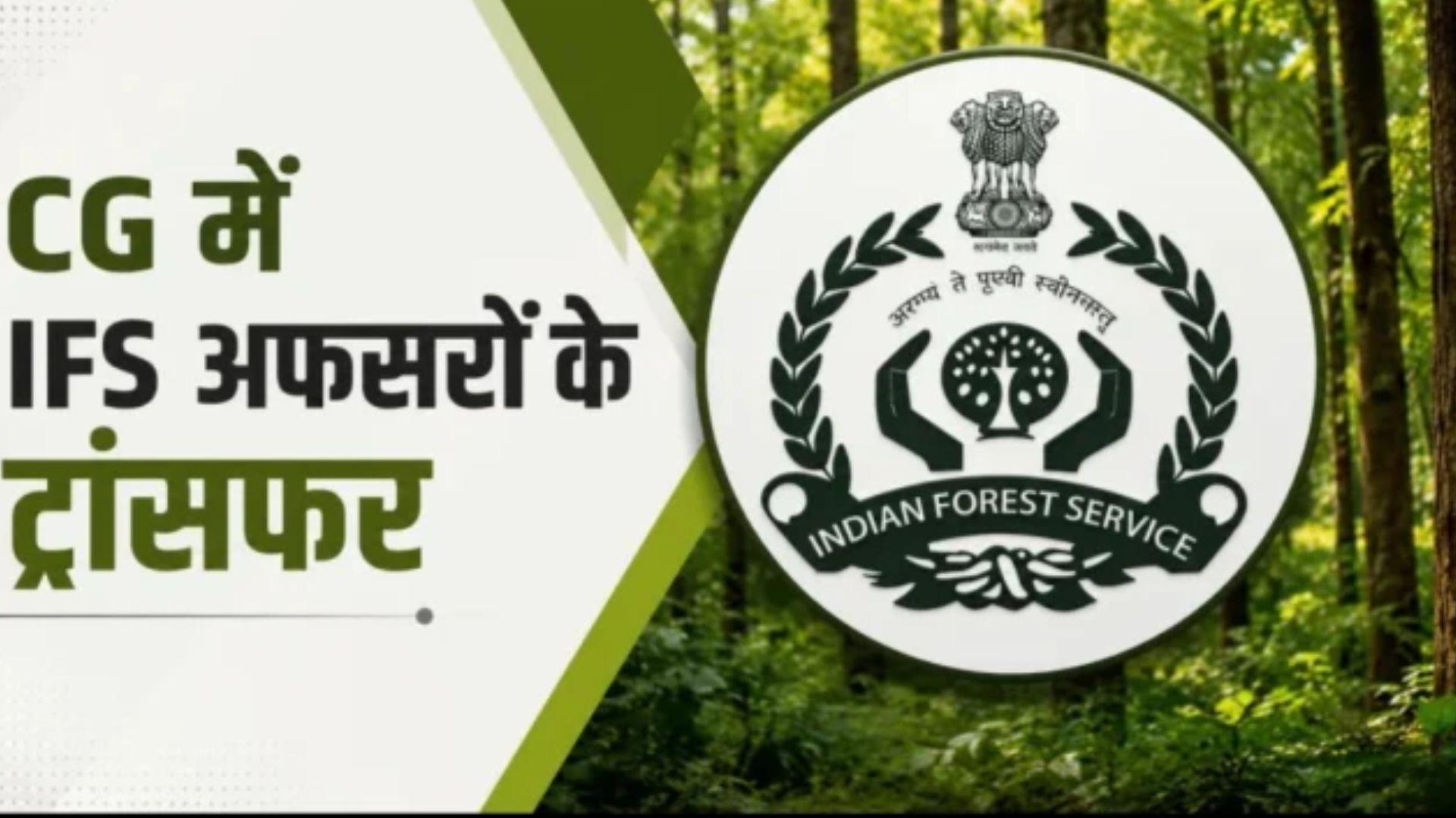 Raipur News : CG IFS Transfer: 24 अफसरों की नई पदस्थापना, टाइगर रिजर्व से लेकर DFO तक बदली जिम्मेदारी