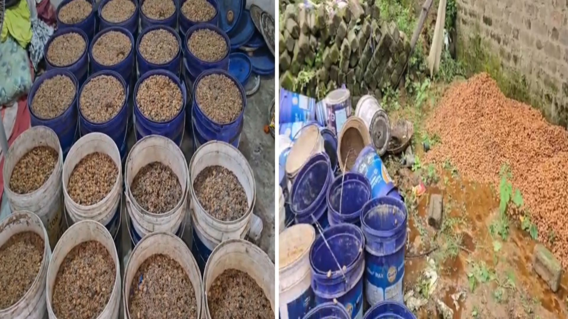Ambikapur News : अंबिकापुर में 8 भट्ठियों पर बन रही थी अवैध शराब, आबकारी टीम ने आरोपी को पकड़ा