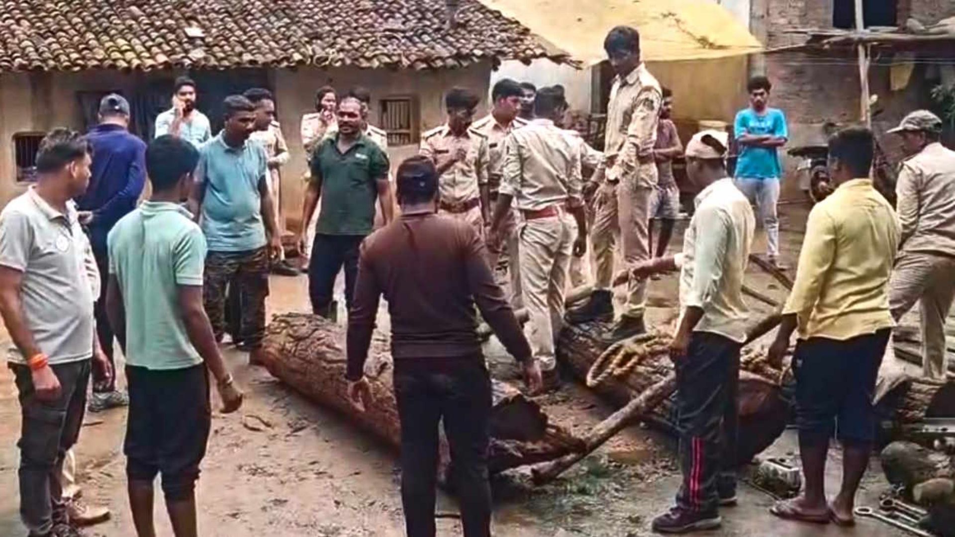 Gariyaband News: सीमा पार USTR की बड़ी कार्रवाई, ओडिशा में अंतर्राज्यीय सागौन तस्करी का भंडाफोड़