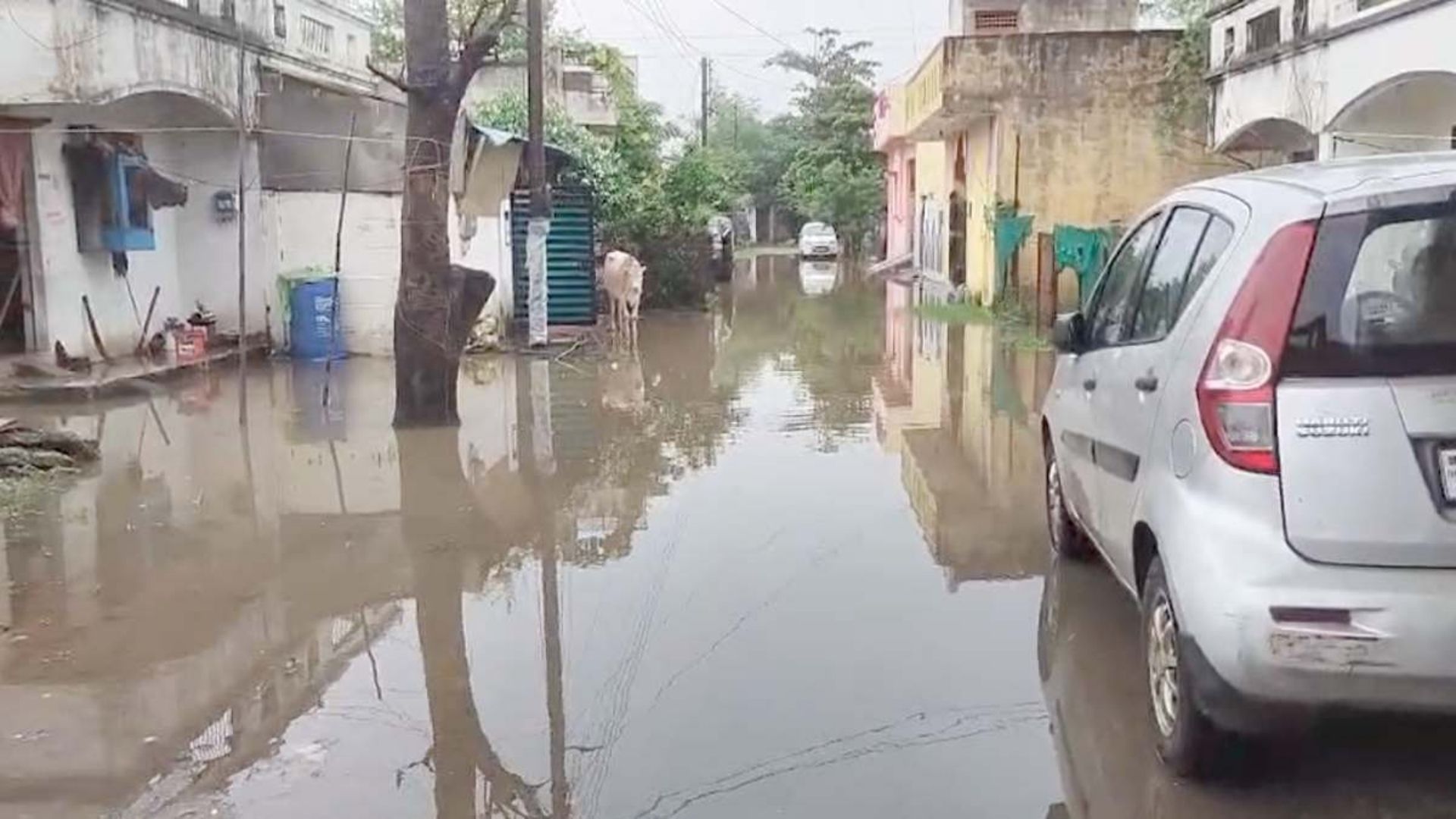 Raipur News: हाउसिंग बोर्ड कॉलोनी फेस-1 में जलभराव से रहवासी परेशान, नालियों की सफाई की मांग