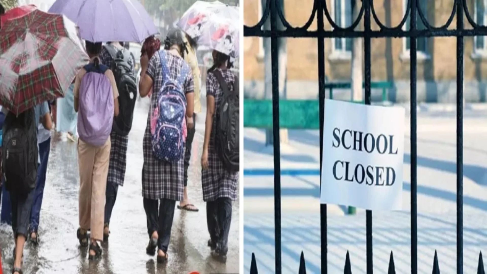 Balod News: भारी बारिश के चलते बालोद जिले के सभी स्कूल बंद, DEO ने जारी किया आदेश, 25 सितंबर की परीक्षाएं अब 28 को